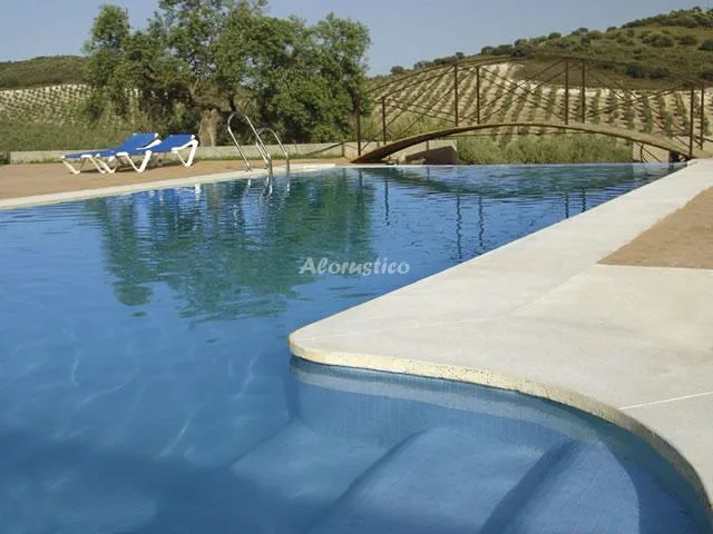 CORTIJO LA CAÑADA - PASOS LARGOS en ESTEPA — miniatura 5