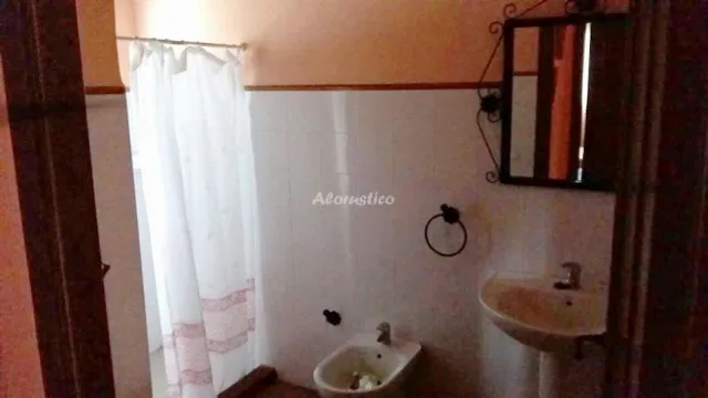 EL RINCÓN ROCIERO en AZNALCÁZAR — miniatura 6