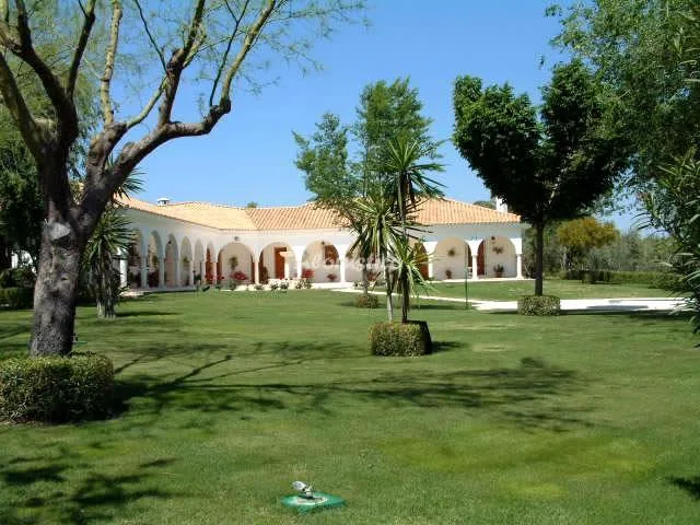 FINCA LA AURORA-LOS OLIVOS en ESTEPA — foto 2