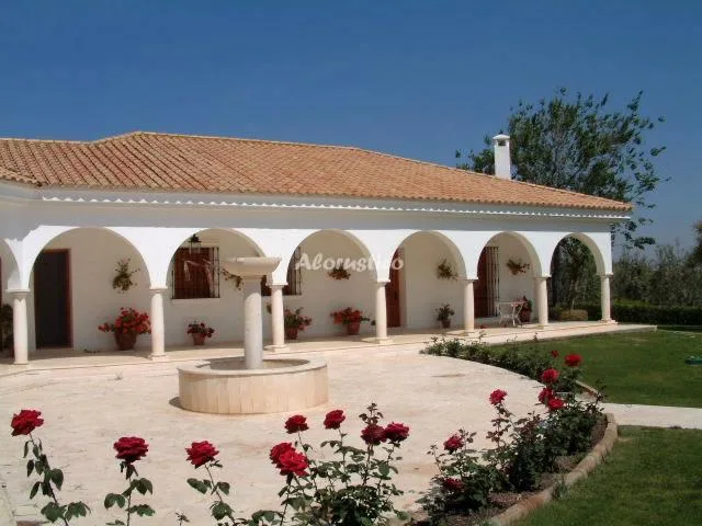 FINCA LA AURORA-LOS OLIVOS en ESTEPA — miniatura 7