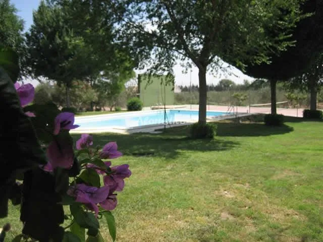 FINCA LA AURORA-LOS OLIVOS en ESTEPA — miniatura 6
