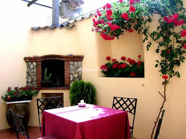 CASA RURAL LA FRESNEDA en MARTÍN MUÑOZ DE LAS POSADAS — miniatura 8