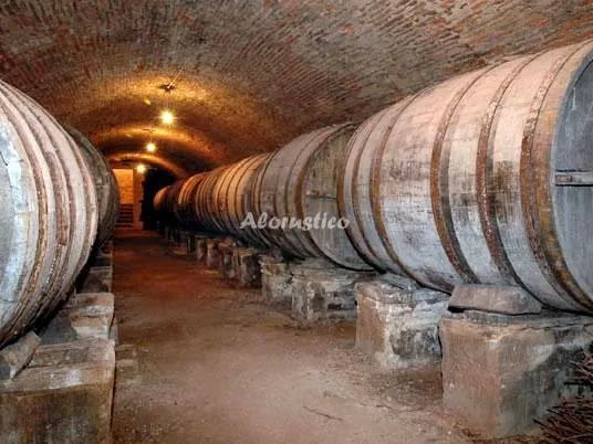 LAGAR DE LA NAVAZUELA-GARNACHA TINTA (DOBLE-DUCHA) en LA RASA — miniatura 5