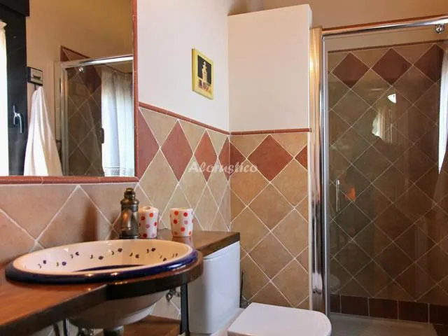 CASA LA CANTARILLA 258 en ALDEHUELA DEL RINCÓN — miniatura 11