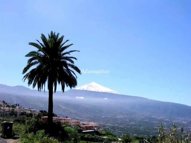 FINCA LORE ARTE en ARAFO — miniatura 13