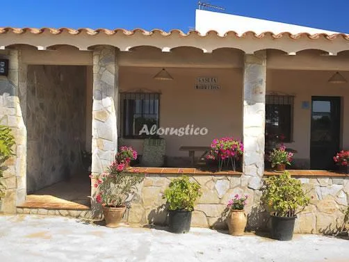 CASETA MORRITOS en DELTEBRE — miniatura 10