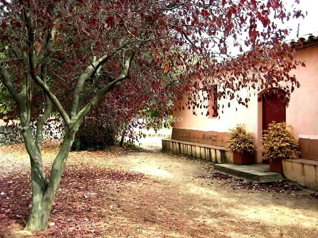 LA CASETA DE FALSET en FALSET — foto 3