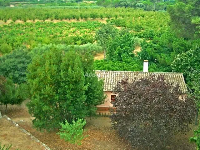 LA CASETA DE FALSET en FALSET — miniatura 18