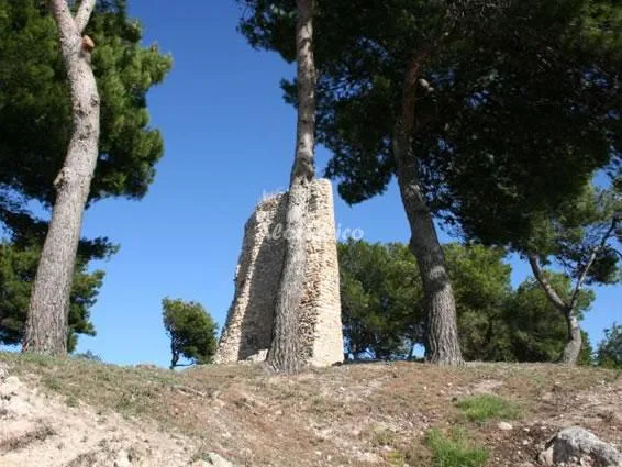 MAS CANYÍS en BANYERES DEL PENEDES — miniatura 10