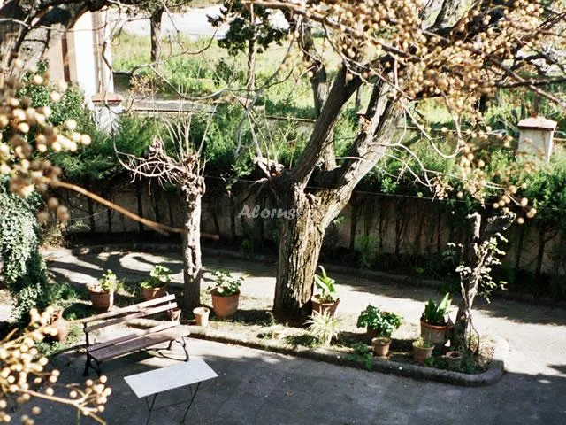MAS CANYÍS en BANYERES DEL PENEDES — miniatura 9