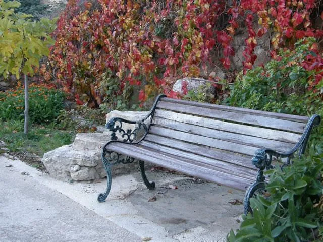 CASA RURAL EL OBRADOR en MONTORO DE MEZQUITA — miniatura 10