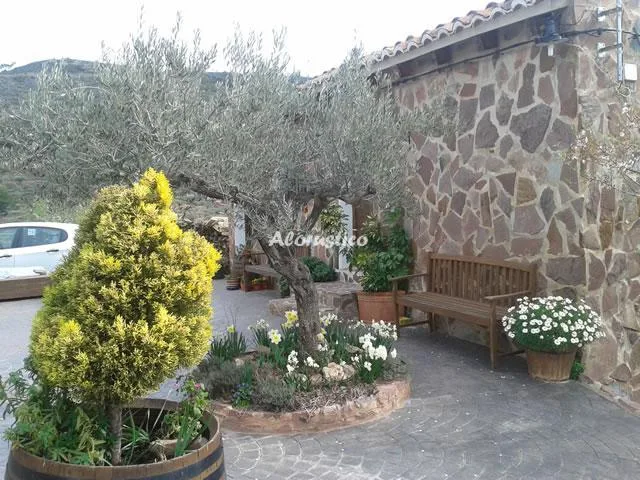 LES ERES DE GÁTOVA-CASA 273 en GÁTOVA — foto 2