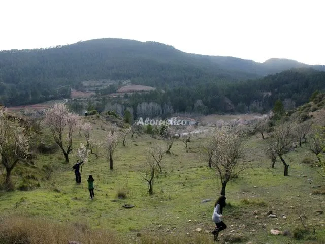Alojamiento turístico EL MAJUELO - APTO EN BUHARDILLA en REQUENA · VALENCIA