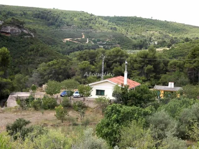 EL PINCELL en YÁTOVA — miniatura 4