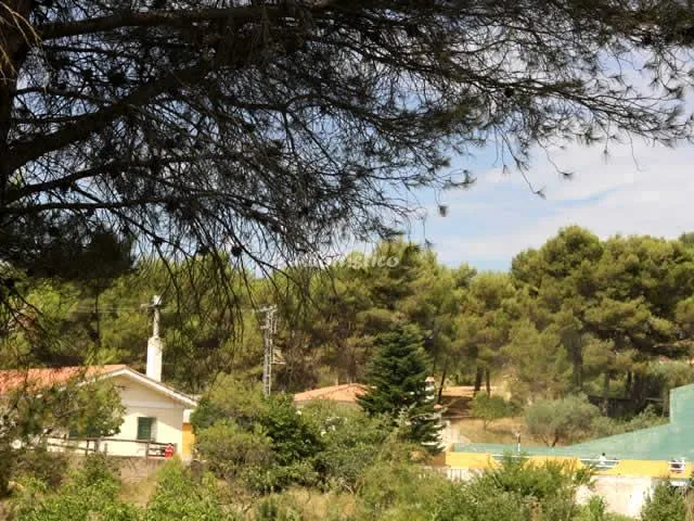 EL PINCELL en YÁTOVA — miniatura 12