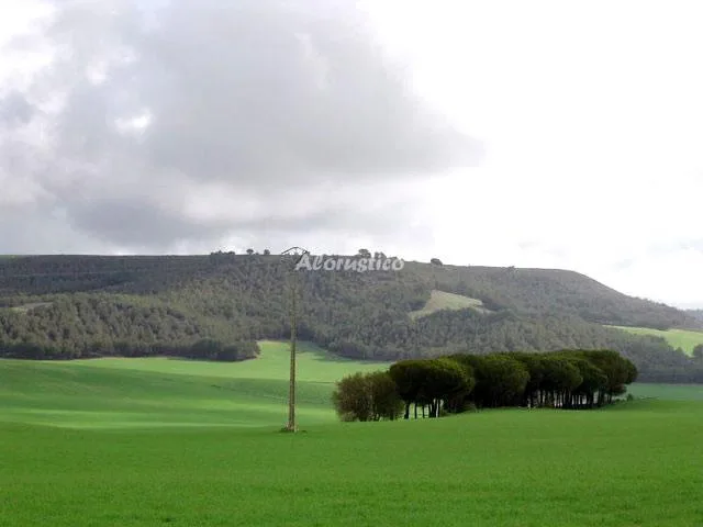 MIRADOR DEL VALLE--ARREBOL-- en VILLAFUERTE DE ESGUEVA — miniatura 15