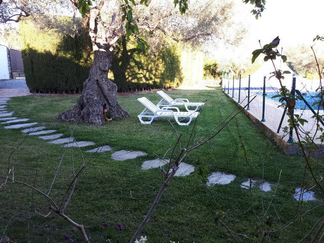 ALOJAMIENTO LOS OLIVOS en ÓRGIVA — miniatura 5