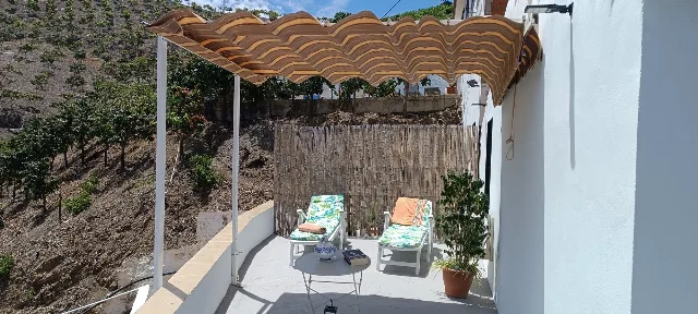 FINCA LA PALMA en EL BORGE — miniatura 4
