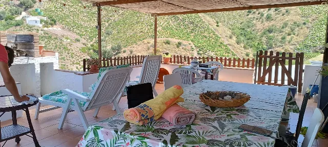 FINCA LA PALMA en EL BORGE — miniatura 6