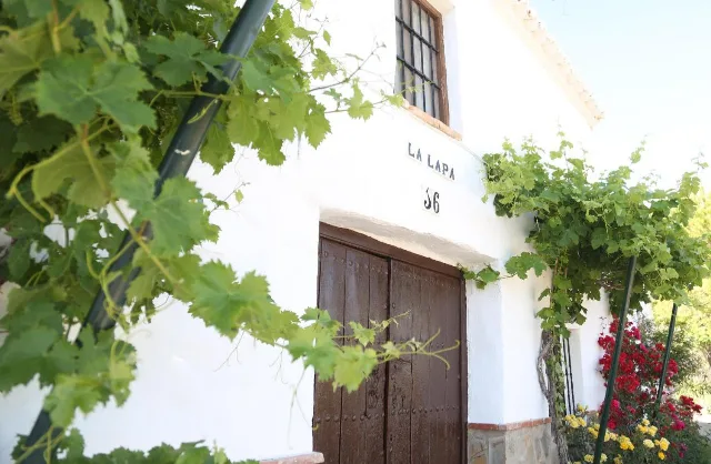 HUERTA LA LAPA en CAÑETE LA REAL — miniatura 7